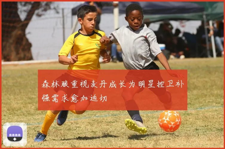 森林狼重视麦丹成长为明星控卫补强需求愈加迫切